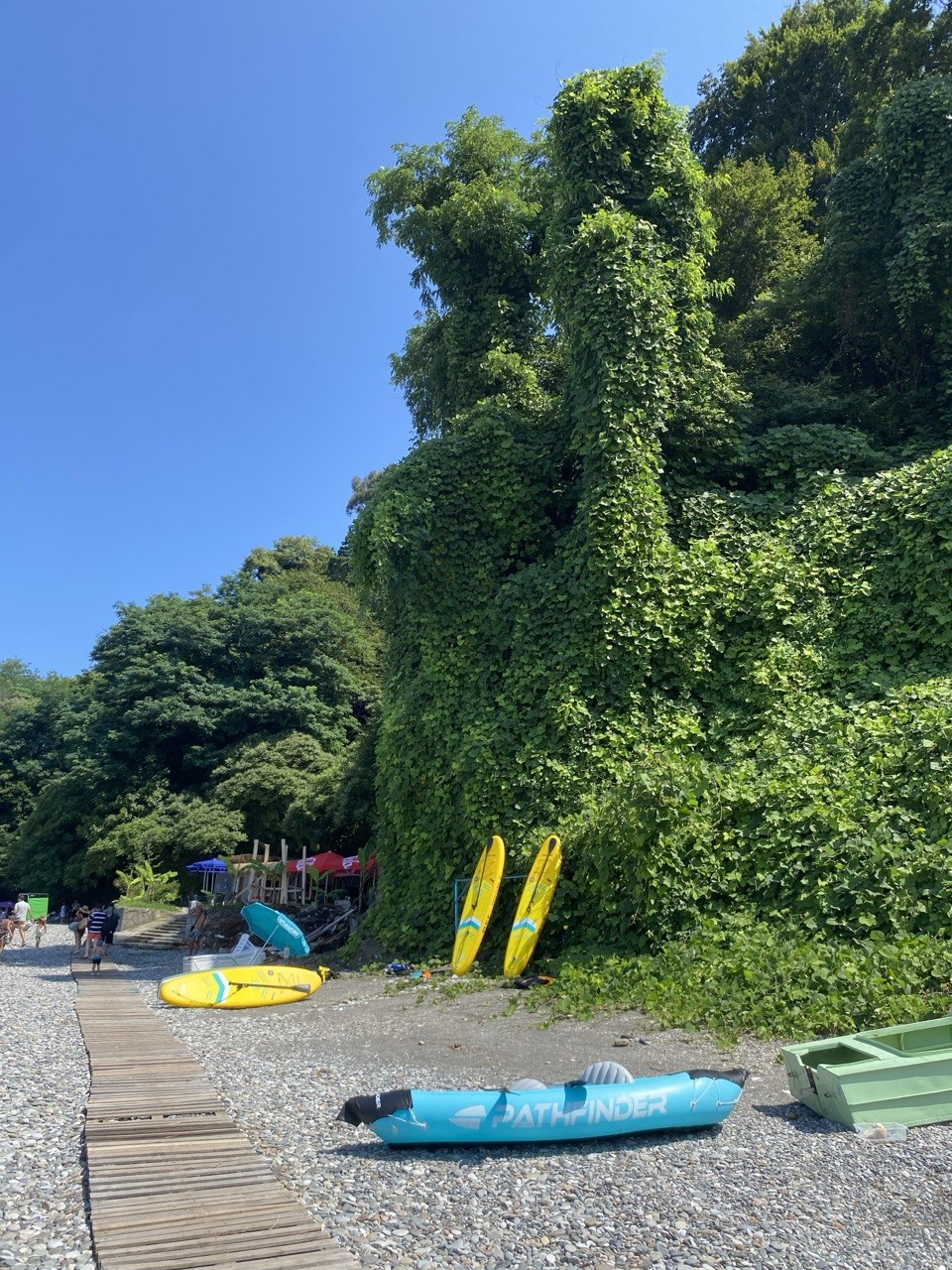 Batumi Botanical Garden